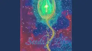 Seeds of Life (Instrumental)