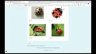 Creating A Quiz Assignment Using Google Classroom