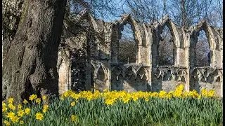 York's stunning Museum Gardens in 1080 High Definition video
