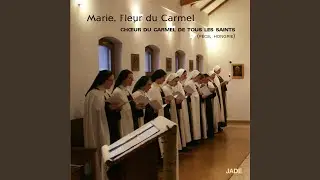 Verbum patris humanatur