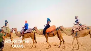 ‘CHIN CHIN HABIBI’ | HOUSE OF THE OGAS (S4 E6) 