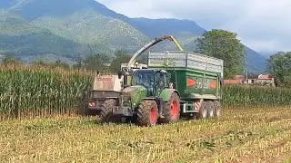 CLAAS JAGUAR 890 - FENDT 718 - FIATAGRI 100/90 - AGRIFULL 140 | TRINCIATURA MAIS
