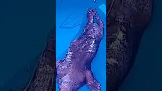 Владивосток