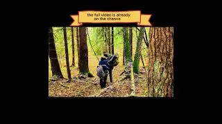 combat training trip with my son into the forest #survival #campping #bushcraft #outdoor #adventure
