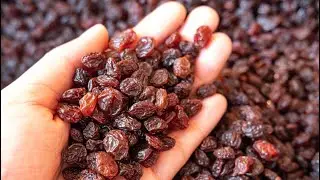 Beneficios y propiedades de Comer UVAS PASAS en ayunas, mira lo que le hace a tu cuerpo