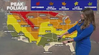 North Texas FINALLY seeing fall colors in the leaves