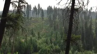 Logging Lake, Glacier National Park 1