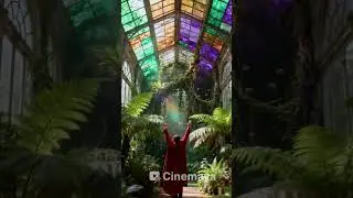 Story Between Frames: Themed Visual Art Film