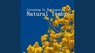 Listening To The Learning Of Natural Timbre