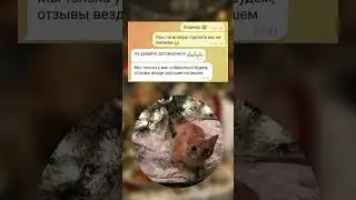 Послевкусие копроратива 😂 P.S. Помогаем удалить несправедливые отзывы, пишите 📨