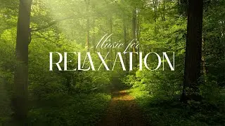 Beautiful Soft MUSIC for Relaxation | Meditation before sleep &bull; rest &bull; for calm work