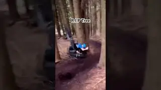 Rip tree #bike #mtbbike #mountainbike #mtb #outdoors #crash #mtbfail #tree #fail #rip #video #shorts