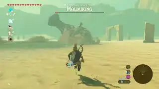 Defeating a Molduking on Master Mode