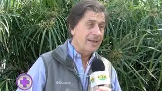 PREVENCIÓN DE LESIONES LIGAMENTARIAS, TENDINOSAS Y MUSCULARES EN CABALLOS SANGRE PURA DE CARRERA
