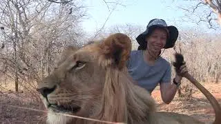 Walking with Lions at Livingstone, Zambia