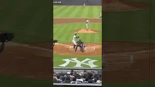&ldquo;Psych!&rdquo; #highperformance #performance  #yankees #mlb #funny #baseball