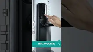 Denler DL06 Smart Door Lock with video intercom
