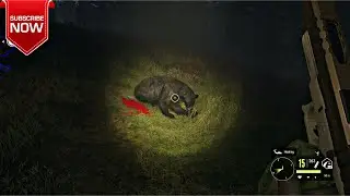 COTW/FAILED MOOSE HUNTING STAND KILL/GOLD BLACK BEAR/SILVER WHITETAIL DEER💥