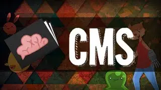 New Layout and New Content