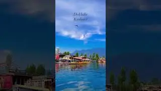Exploring Srinagar   Shikara ride in Dal lake #DalLake #SrinagarDiaries #ShikaraRide
