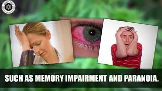 CBD OIL EFFECTS
