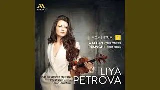 Sonata for Violin and Piano in B Minor, P. 110: I. Moderato