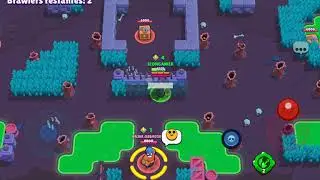 BUG DE MORTIS 