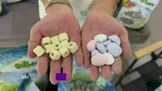 Quy trình giao hồ nghiêm ngặt cảu CRVN - part 2