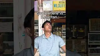 Келантан такой же, как и остальная часть Малайзии, верно?