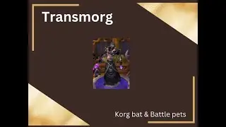 Transmorg Korg Bat & battle pet WOW gold & Battle pet farm