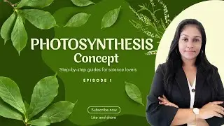 Grade 11 Biology | Photosynthesis &ndash; Complete Concept - Based Seminar