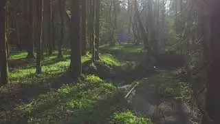 Brian Bohlman &ndash; New Beginning [Official Video] NEW BEGINNING (Vol 1) Mountain Dulcimer Instrumentals