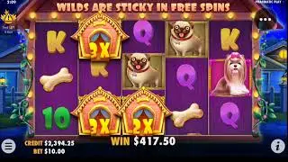 🎰 Casino online Philippines for real money 💰 The Dog house slot BIG WIN 🤑 Online casino Philippines