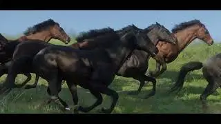 The English Thoroughbred (Red Dead Redemption 2)