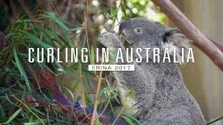 Throwing Stones: Team Australia
