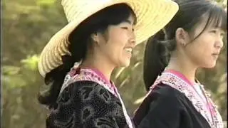 Hmong New year 1990