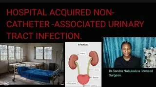Hospital-Acquired Non-Catheter-Associated UTI: Causes, Risks, and Prevention | A Comprehensive Guid