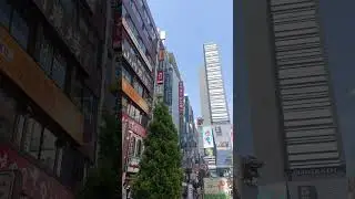 Tokyo VS Kyoto 🇯🇵😍 #travelshorts #youtubeshorts #shorts #japan