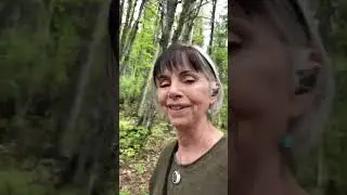 10 Day Sobriety Experience for 40+ Women going Alcohol Free