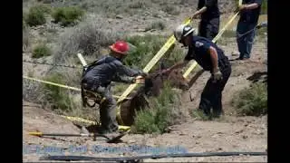 Technical Large Animal Rescue (NW Nevada Region)