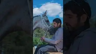 My hours 🇦🇪💯#prince #love #animals #hours #crownprince #uae #dubai #prince#fazza #shortsvideo ❤️❤️
