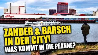 Angeln auf Zander & Barsch in Bremen an der Weser! Catch & Cook mit Fishing Team Heileit!