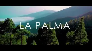 Nature of La Palma (4K)