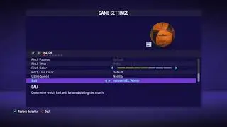 FIFA 21 - All Balls