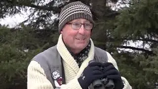 Zoomer Magazine meets Birdman Kevin Shackleton (Bird Studies Canada)