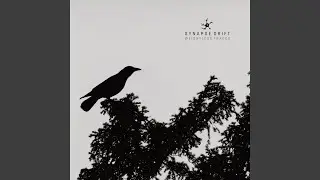 Breathing Without Gravity