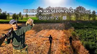 Köylüler “Av Yapamazsınız” Dedi ve Karakolluk Olduk 2025 Bıldırcın avı 2. Bölüm