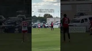 Tom Williamson for Ararat vs Stawell