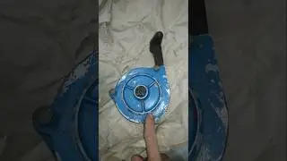История из жизни питерского барахольщика