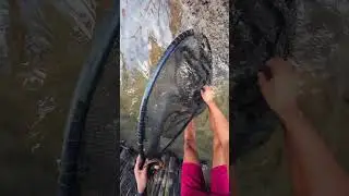Kuha Tayo Ng Pang Pain‼️Ganito din ba kayo mga master ?‼️Fishing Hobbies🎣🐟#Friends #everyone #viral